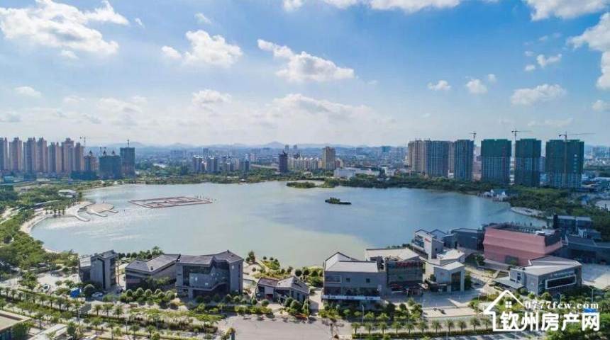 碧桂园·星悦湾图5