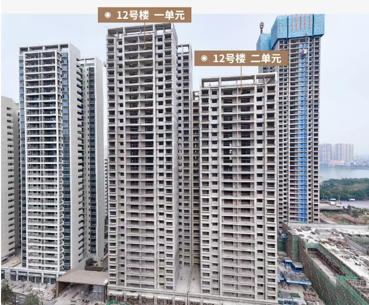 交投白石印图3