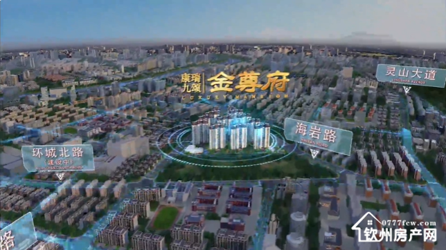 康瑞九颂·金尊府图4