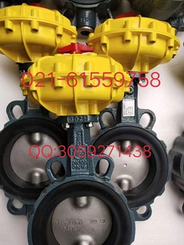 原装正品德国依博罗角行程电动执行器 E50-E210图2