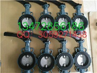 销售原装正品德国EBRO Z011-A型气动软密封蝶阀图4