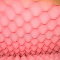 粉红色波浪海绵