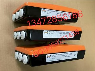 现货供应德国EBRO对夹蝶阀 手动蝶阀规格齐全速发货图3