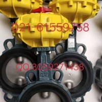 原装正品 德国依博罗EBRO气动扇形蝶阀规格齐全