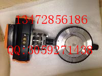 原装正品Z011-A型德国依博罗蝶阀 DN40-DN500速发货图2