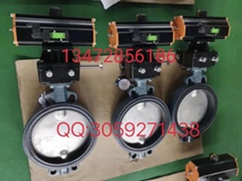 原装正品Z011-A型德国依博罗蝶阀 DN40-DN500速发货图4